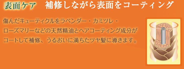 補修しながら表面をコーティング