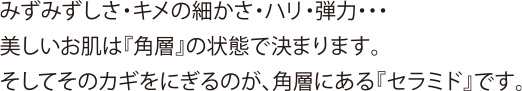 みずみずしさ・きめの細かさ・ハリ・弾力