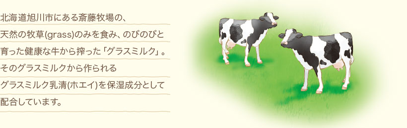 北海道旭川市にある斎藤牧場の、天然の牧草(grass)のみを食み、のびのびと育った健康な牛から搾った「グラスミルク」。そのグラスミルクから作られるグラスミルク乳清(ホエイ)を保湿成分として配合しています。