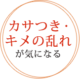 カサつき・キメの乱れが気になる