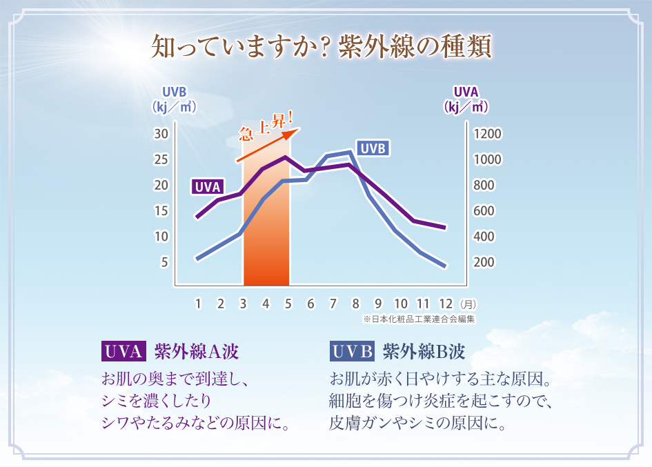 知っていますか？紫外線の種類