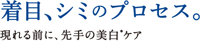 着目、シミのプロセス