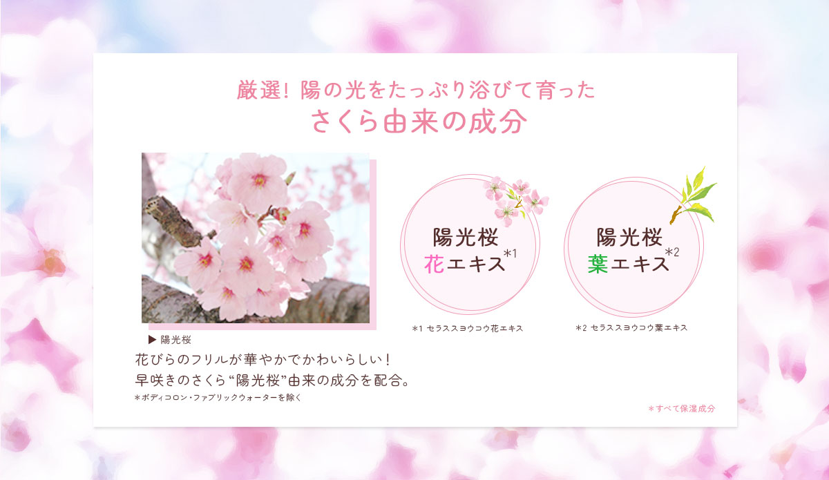 陽光桜由来の美容成分