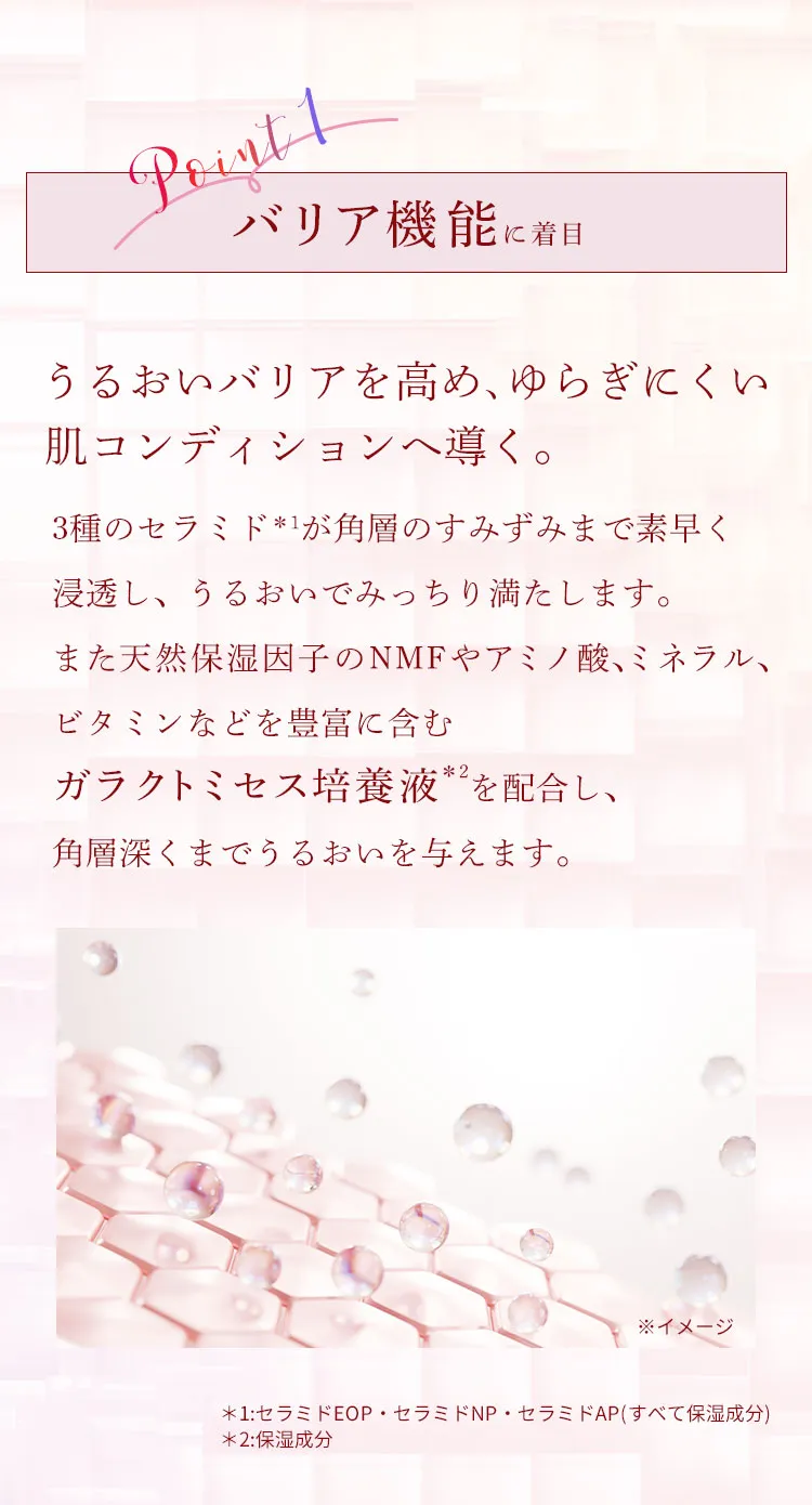 バリア機能に着目