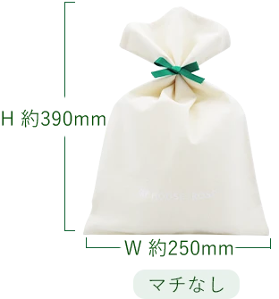 ギフト袋サイズ