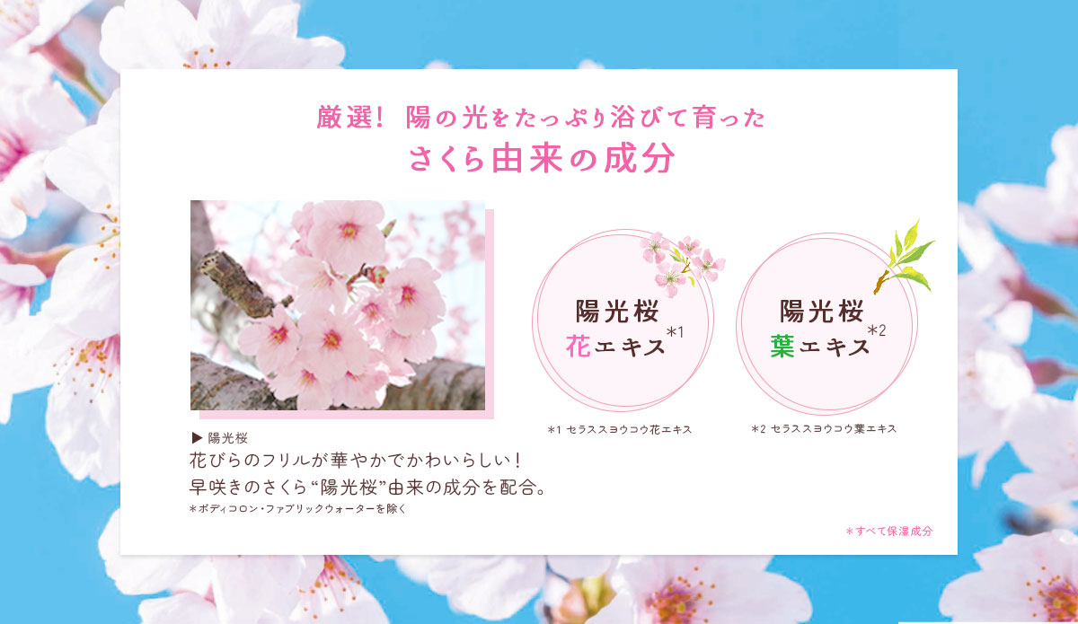 さくら由来の成分