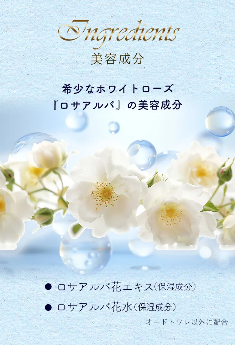 成分