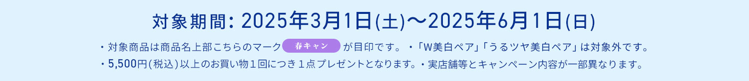 対象期間・概要