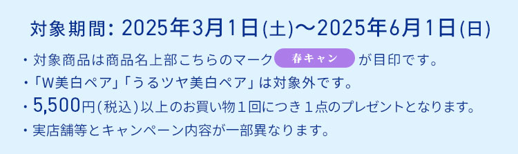 対象期間・概要