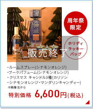 ホリデーラッキーバッグ・シナモンオレンジ