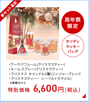ホリディラッキーバッグ クリスマスティー