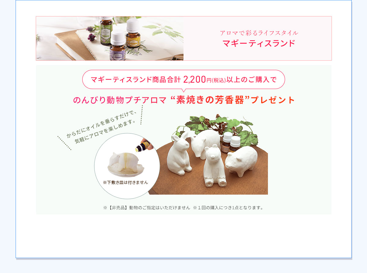 マギープレゼント