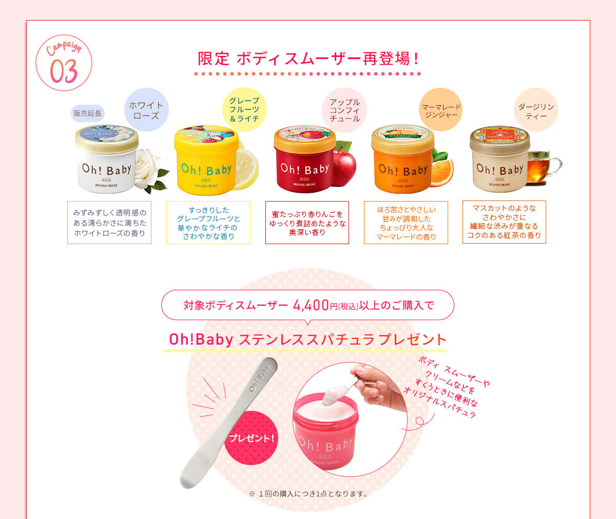 ステンレススパチュラプレゼント