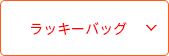 ラッキーバッグ