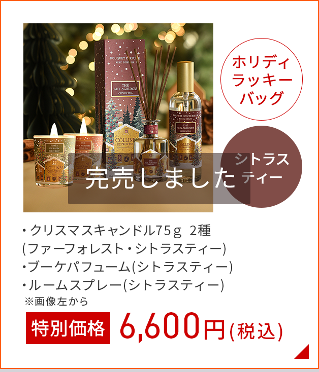 ホリデーラッキィバッグシトラスティー