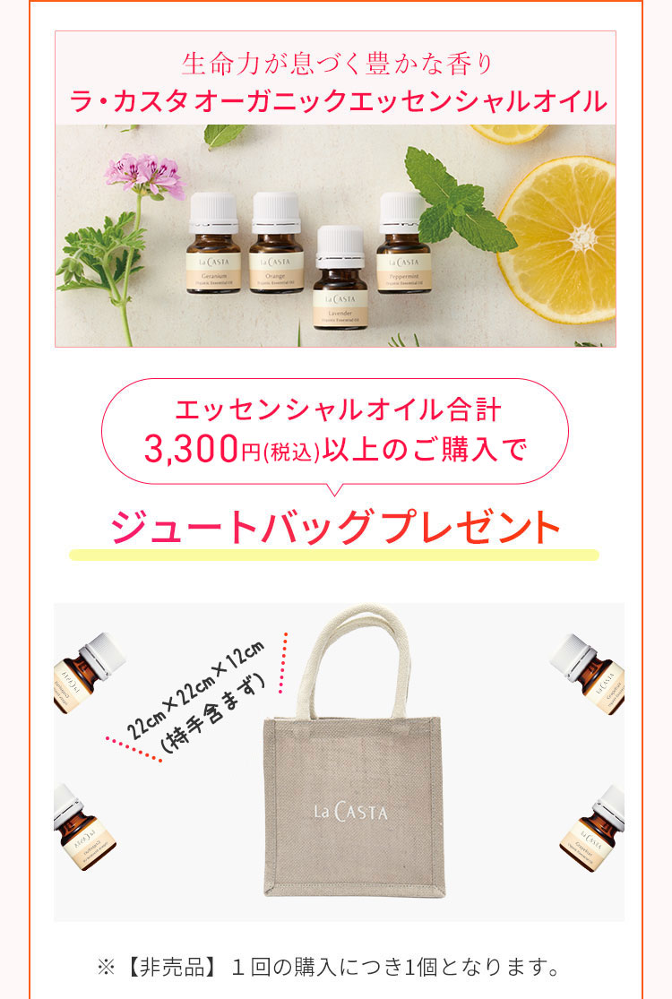 ラカスタプレゼント