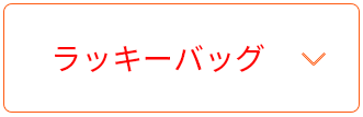 ラッキーバッグ