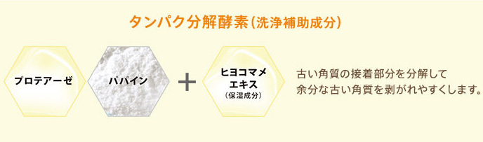 タンパク分解酵素
