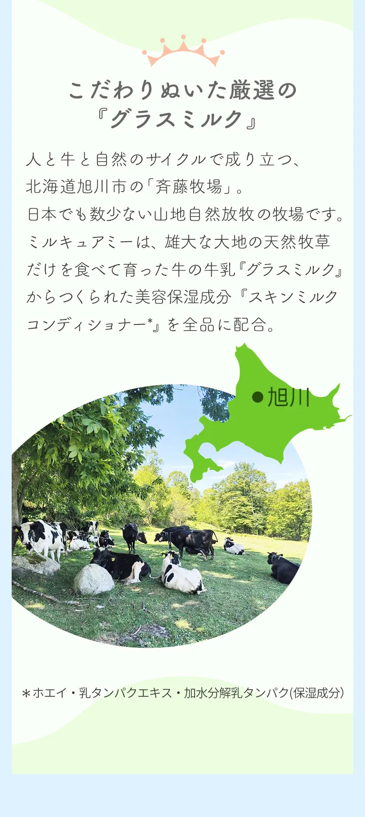 ミルキュアミー共通03