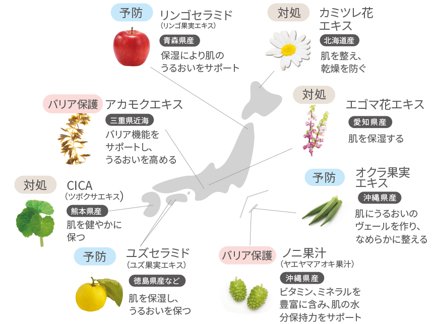 8つの産地特定国産植物エキス図