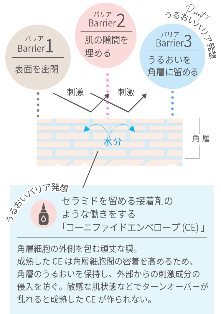 うるおいバリア発想イメージ図