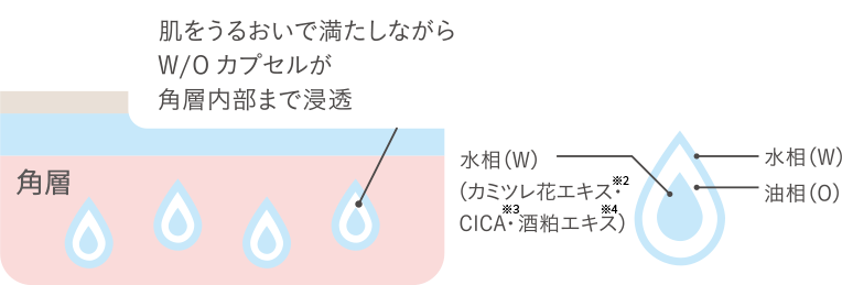 カプセルイメージ図