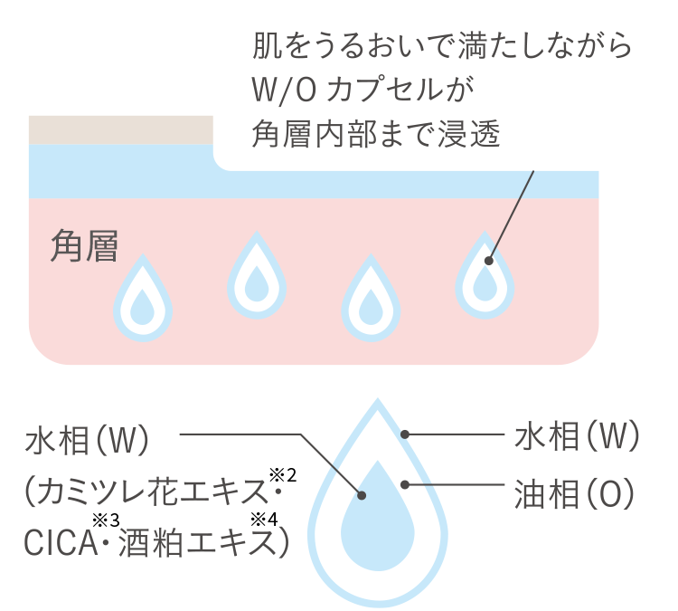 カプセルイメージ図