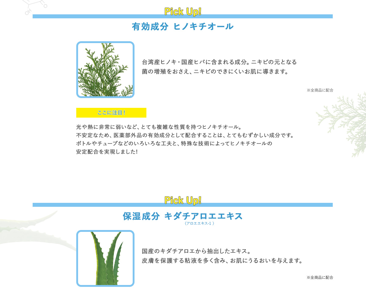 お肌にイイコト処方　ヒノキチオール　キダチアロエ　アーティチョーク　芍桃蘇