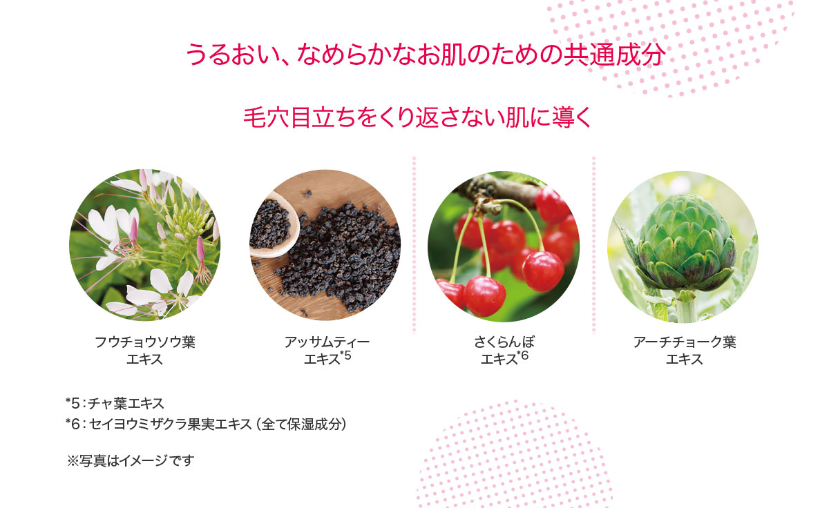 うるおい、なめらかなお肌のための共通成分。毛穴目立ちをくり返さない肌に導く