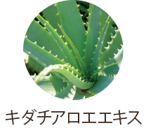 キダチアロエエキス