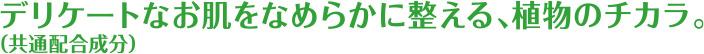 デリケートなお肌をなめらかに整える、植物のチカラ。