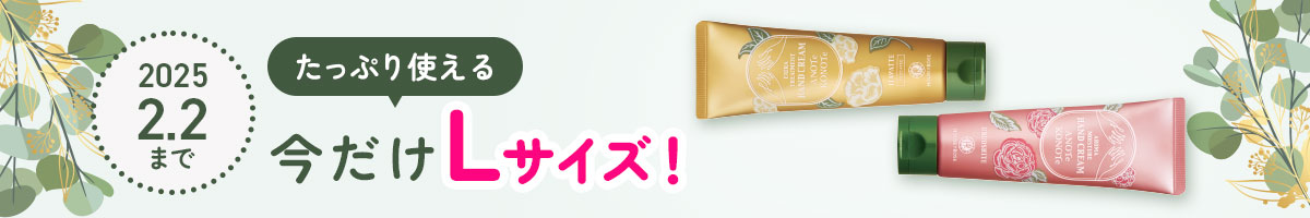 あのてこのてLサイズ発売中