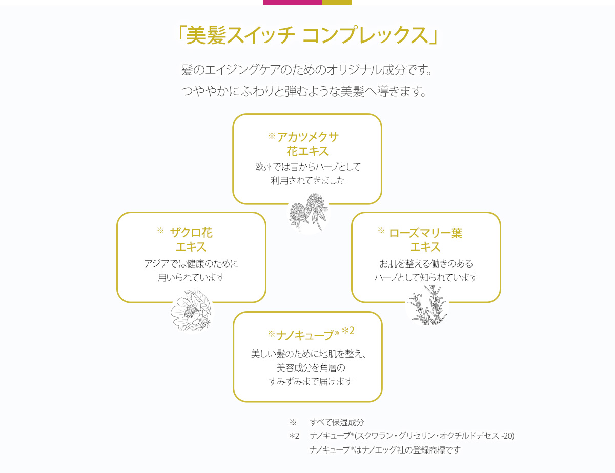 美髪スイッチ コンプレックス