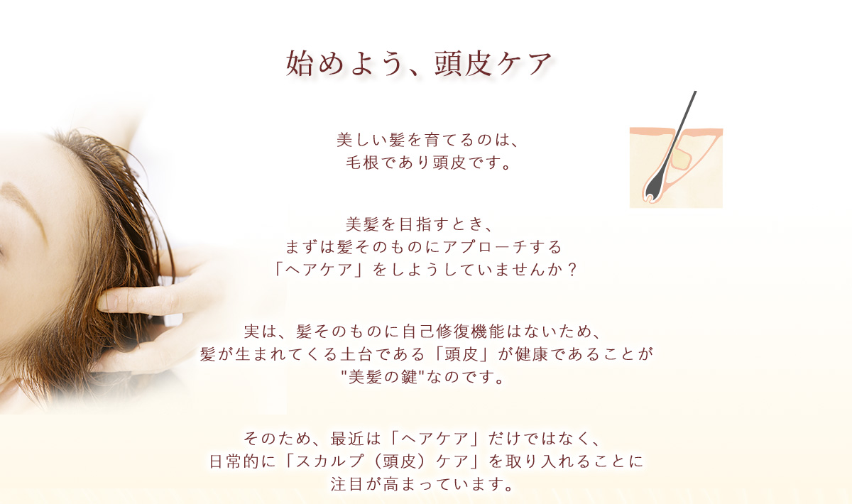 ハーバルエナジー