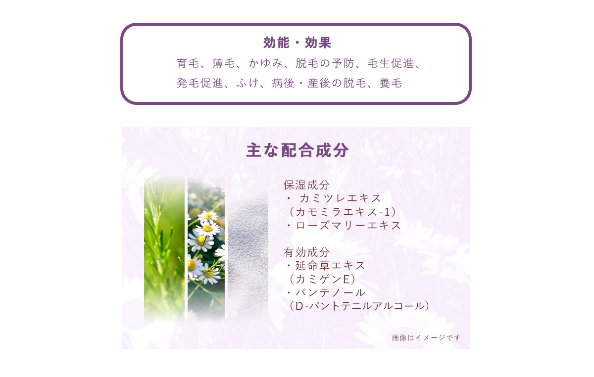 ハーバルエナジー