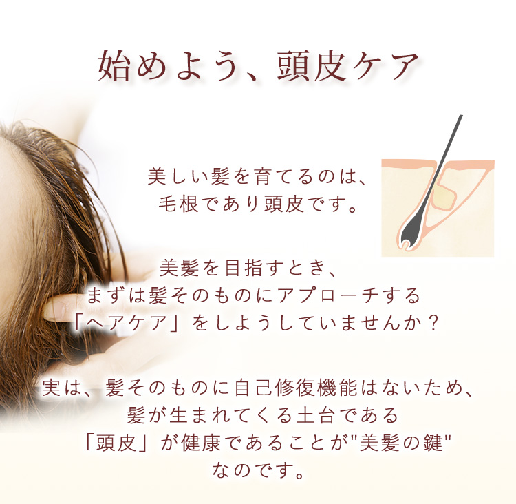 ハーバルエナジー