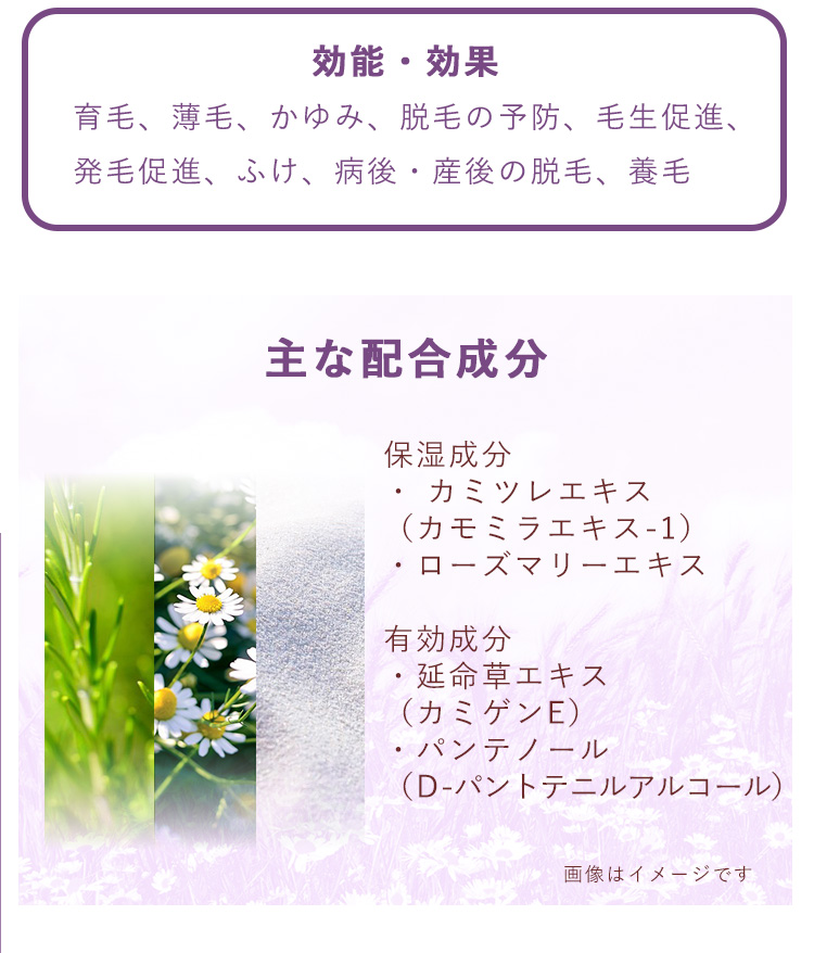 ハーバルエナジー