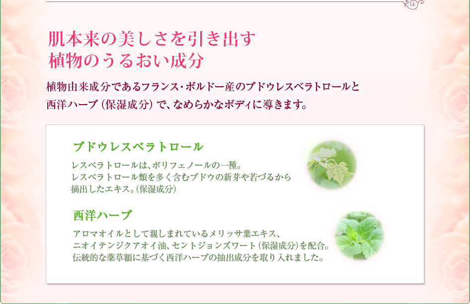 肌本来の美しさを引き出す植物のうるおい成分