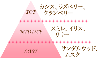 すみれと赤い果実