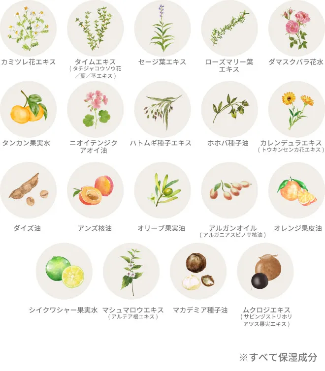 オーガニック植物原料イメージ