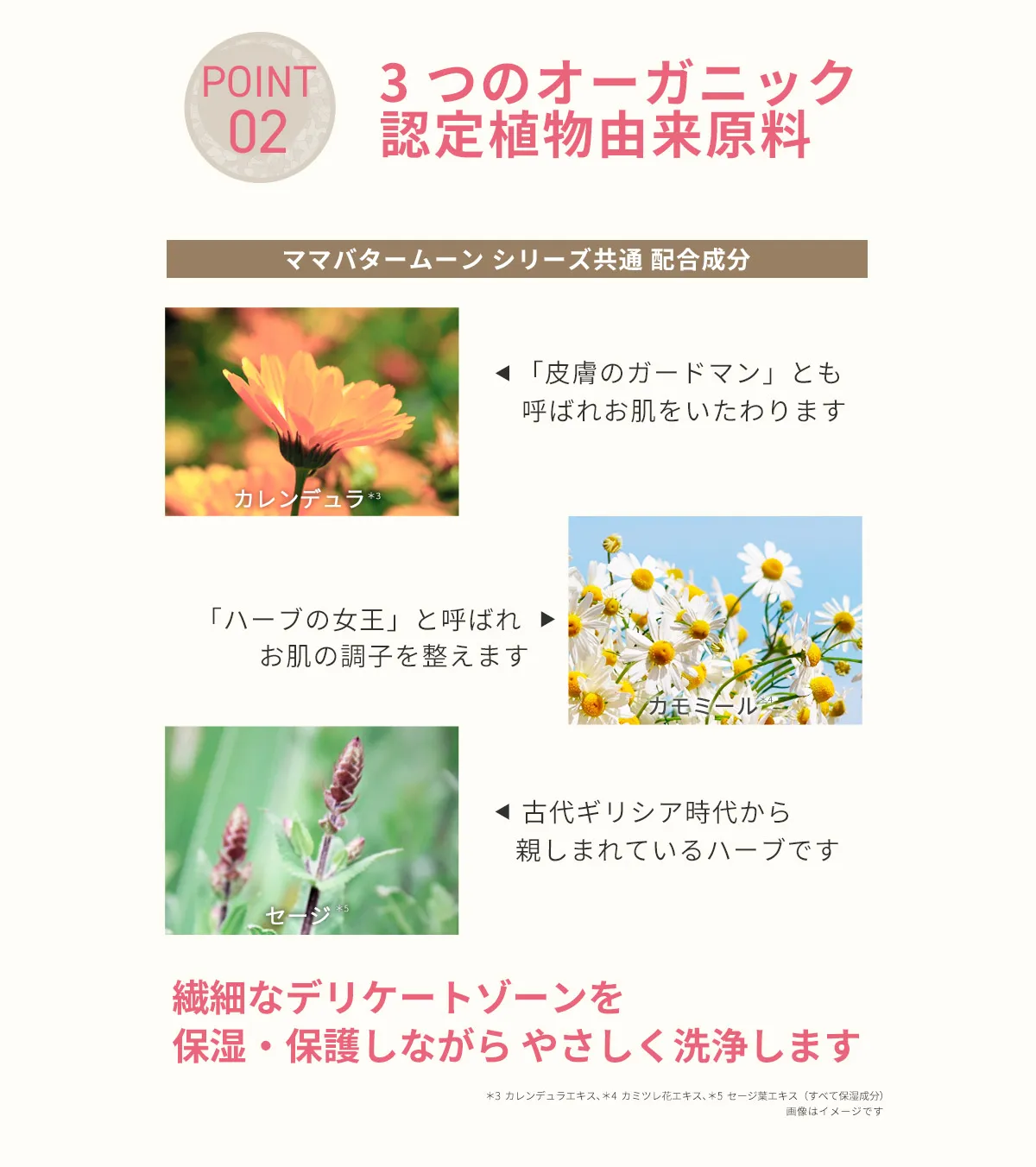 3種のオーガニック植物原料
