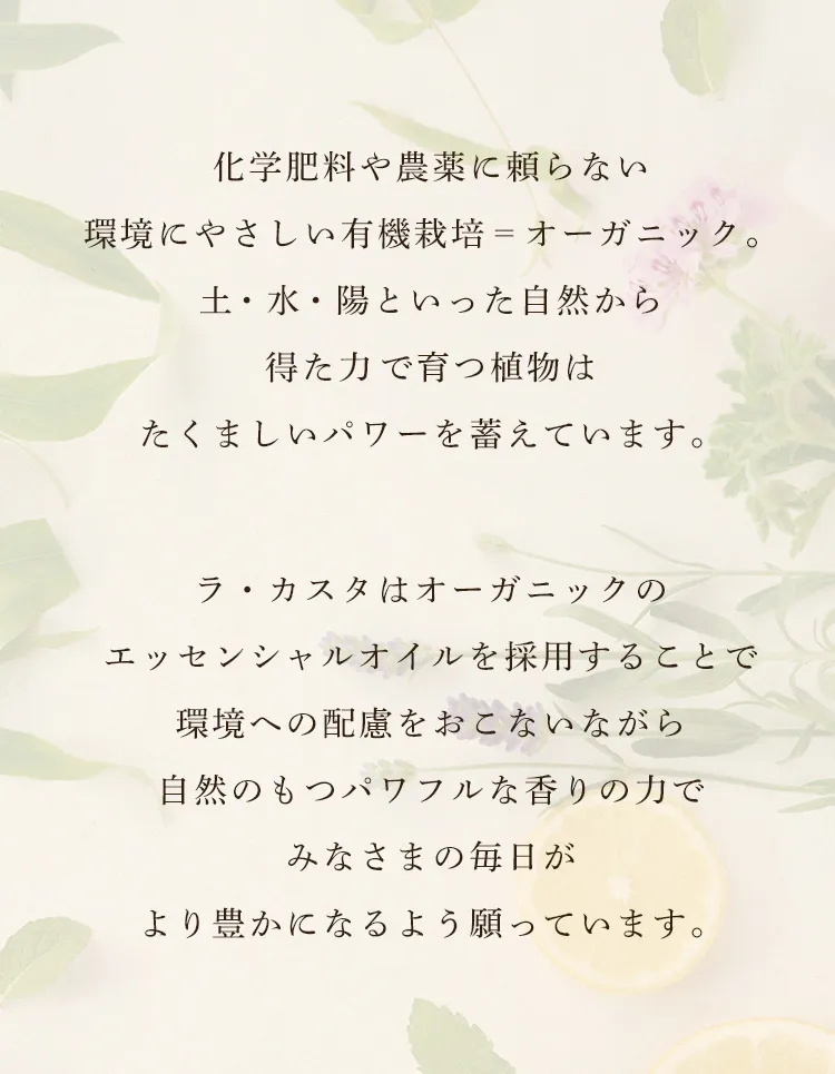 ラ・カスタ