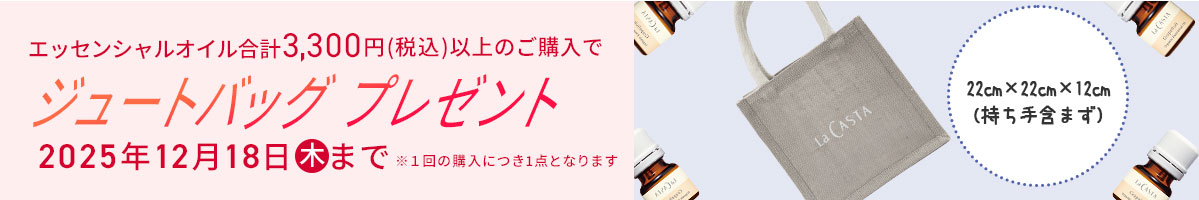 バッグプレゼント