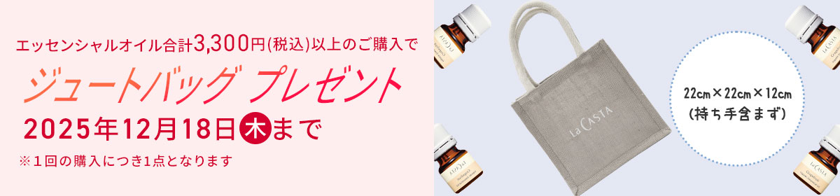 バッグプレゼント