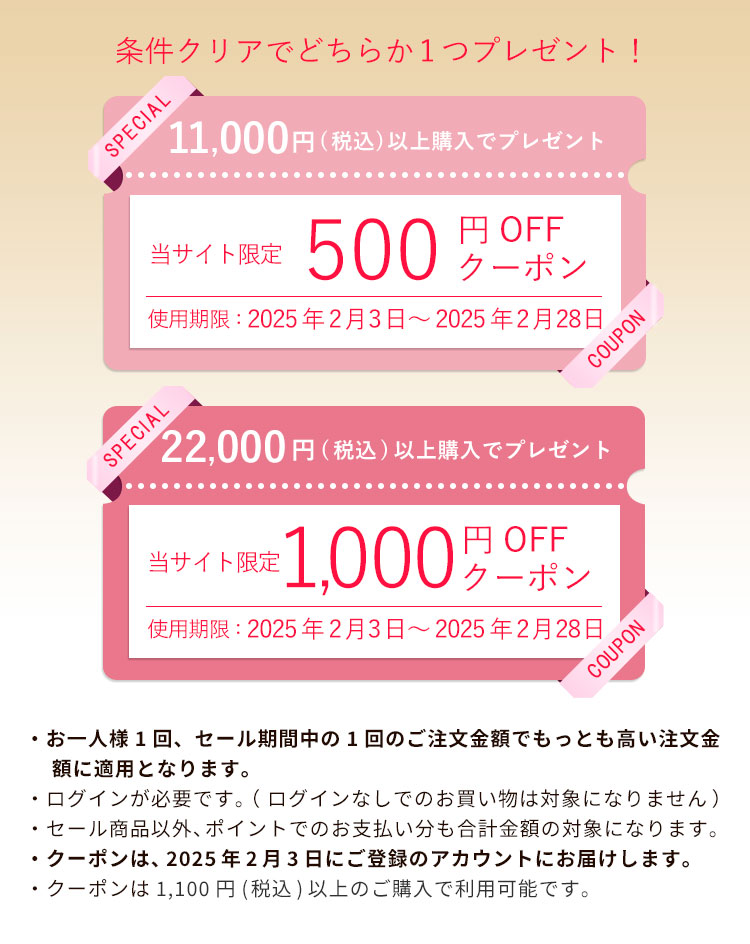 500円オフクーポンプレゼント