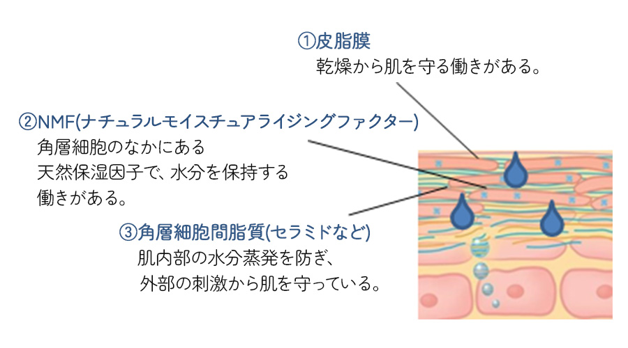 季節画像