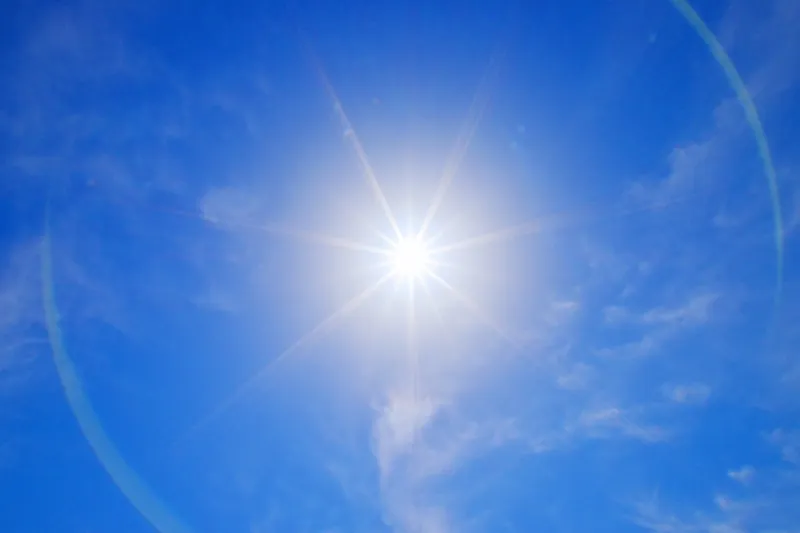 夏の頭皮と髪