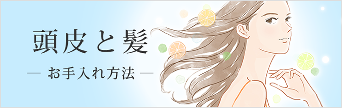 頭皮と髪
