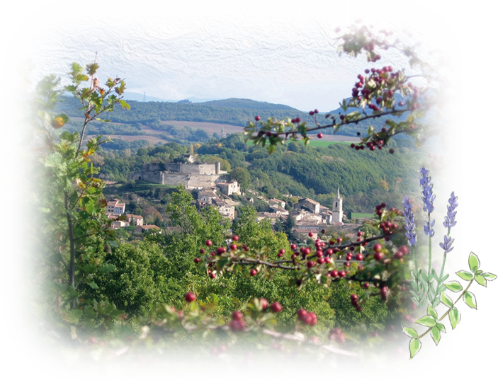 コリンヌ・ド・プロヴァンス（COLLINES DE PROVENCE