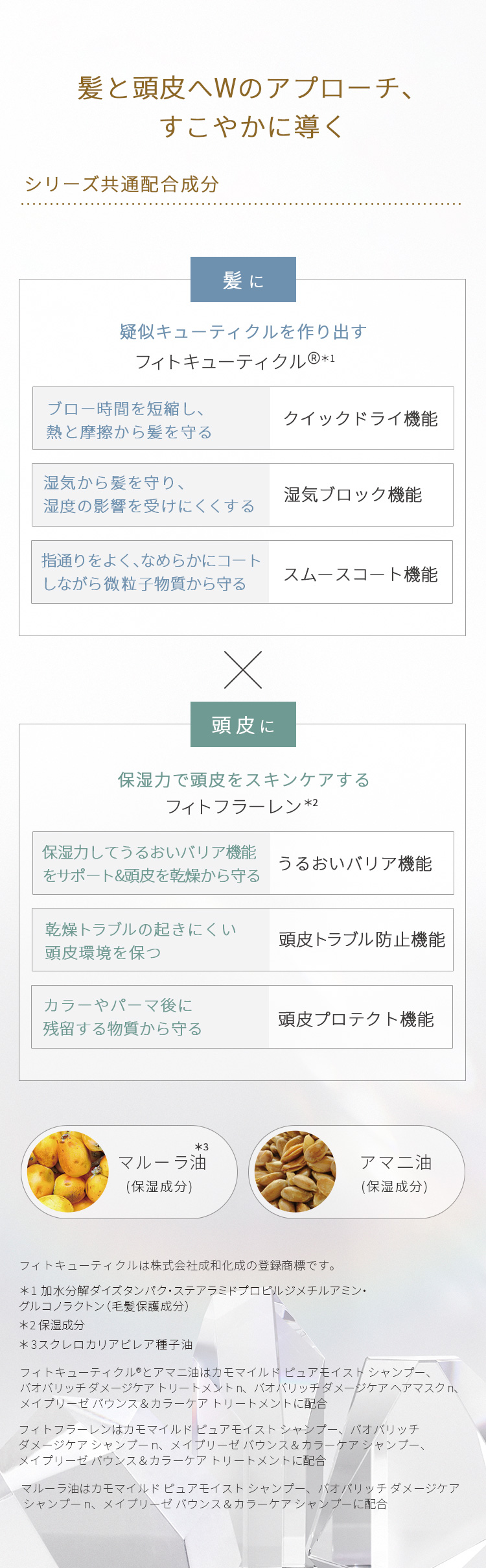 髪と頭皮へWのアプローチ、 すこやかに導く